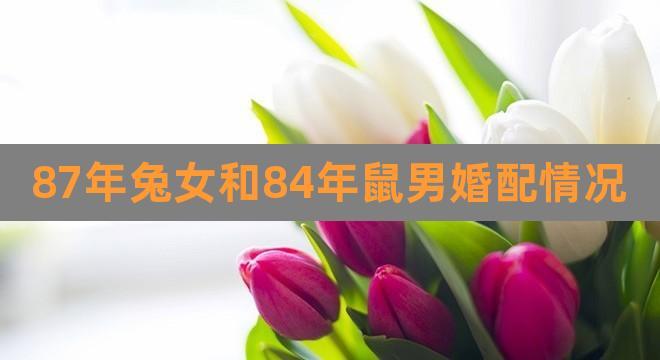 1987年属兔男女2021年结婚好吗