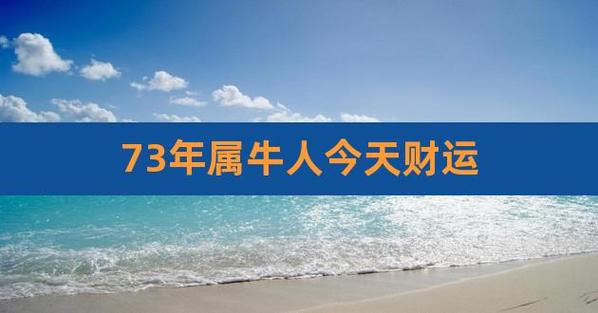 73年属牛人47岁后财运