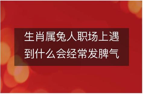 属兔人职场上遇到什么会经常发脾气