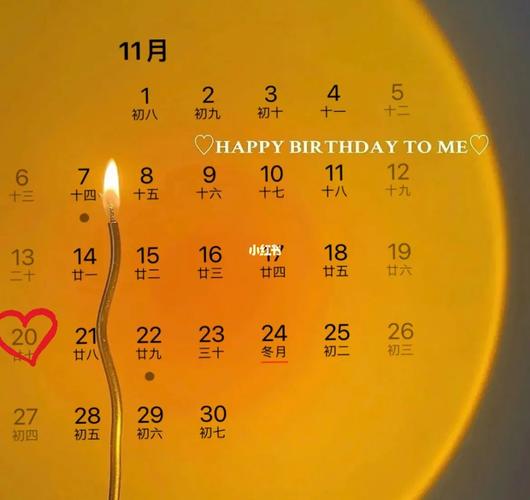 11月20日生日性格分析查询