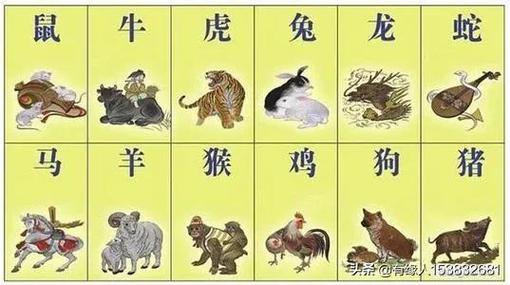 最固执,怎么劝都没用的生肖排行