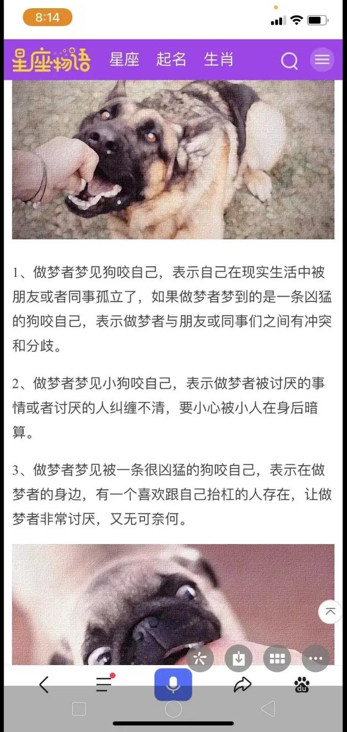 梦见几只狗 梦见几只狗追我什么征兆