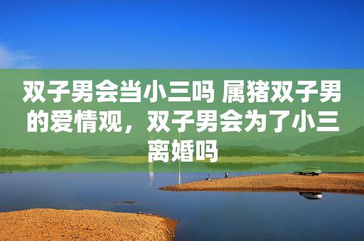 属猪双子男对爱的女人是什么样的