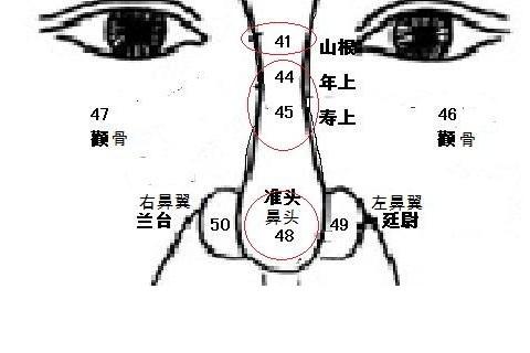 鼻梁有节面相