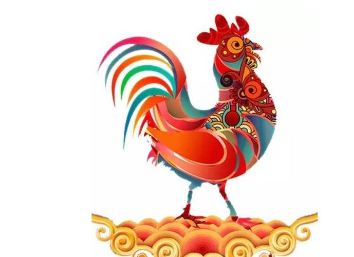 属鸡在感情中的付出