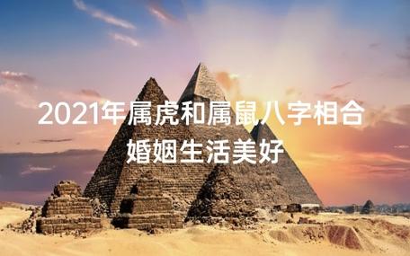 属鼠的与属虎的八字合婚怎么样