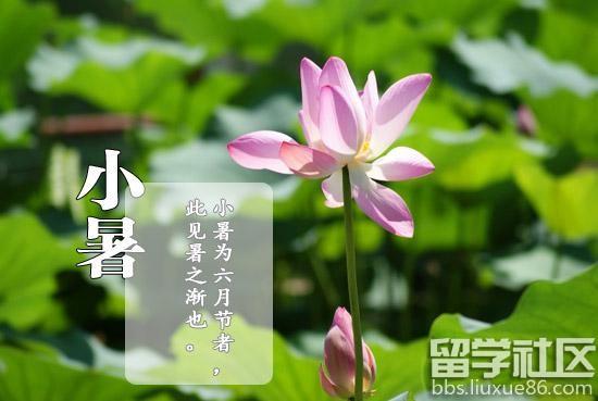 小暑出生的男孩取名,2020年小暑出生的男孩缺土取名