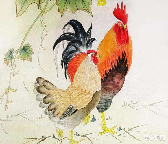 属鸡人在谁面前会很文雅且落落大方