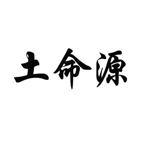 土命起公司名字
