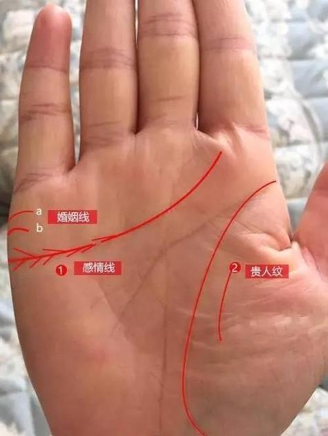 手相:掌纹全碎纹的人难有成就
