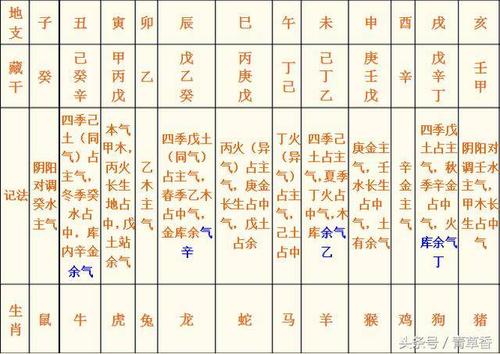 八字命运基础知识:四柱的各柱含义