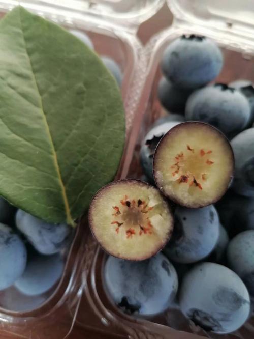 孕妇梦见蓝莓