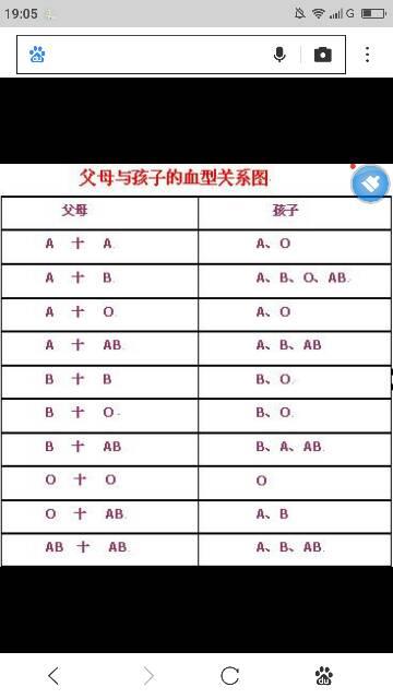 一共有多少个血型
