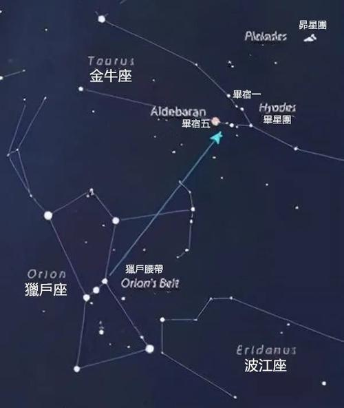 猎户星座和射手座