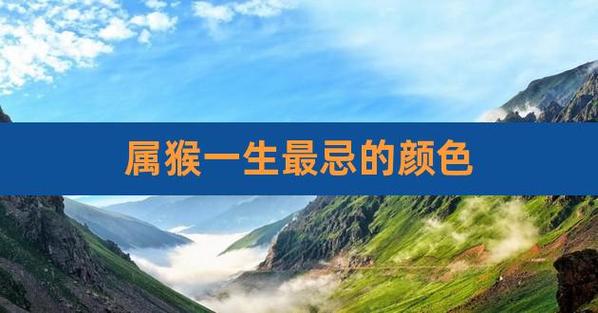 属猴人忌配什么属相