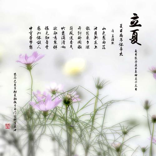 2020庚子年立夏节气戌时