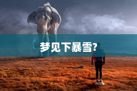 梦见暴雪