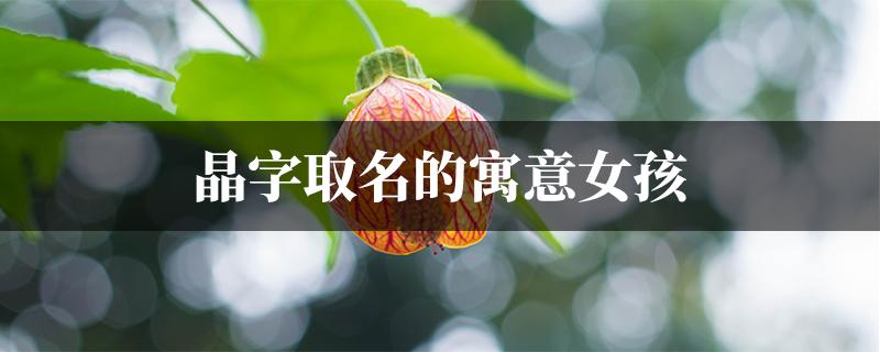 晶字女孩子姓名