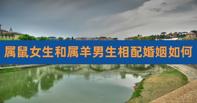 男羊和女鼠的人在一起好吗