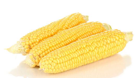 梦见自己在啃玉米棒子,梦见玉米粒