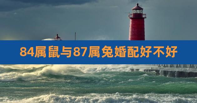 属鼠和兔合不合适婚姻