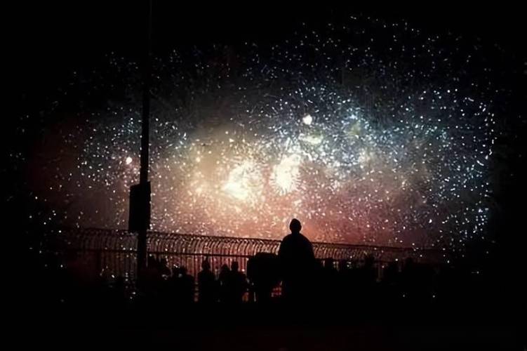 太阳入命于丑、未的人性格命运如何?(一)