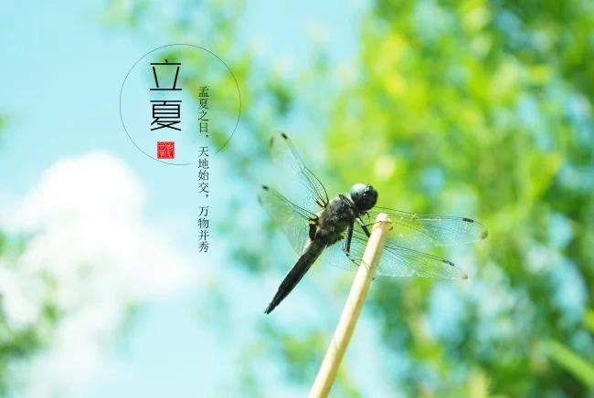 立夏节气2020年子时