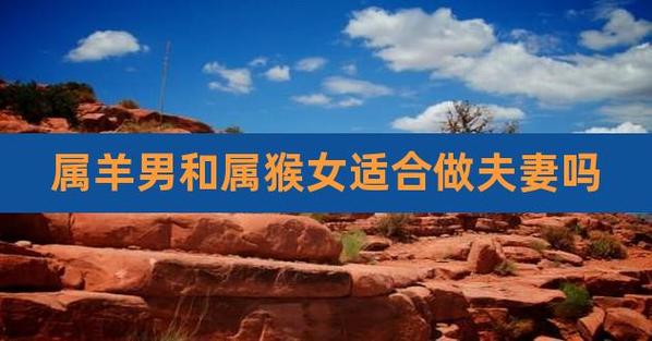 女羊男猴适合做夫妻吗,女羊男猴大一岁好不好