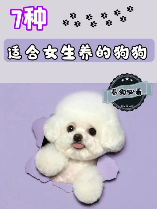 五行缺水人适合养宠物狗吗