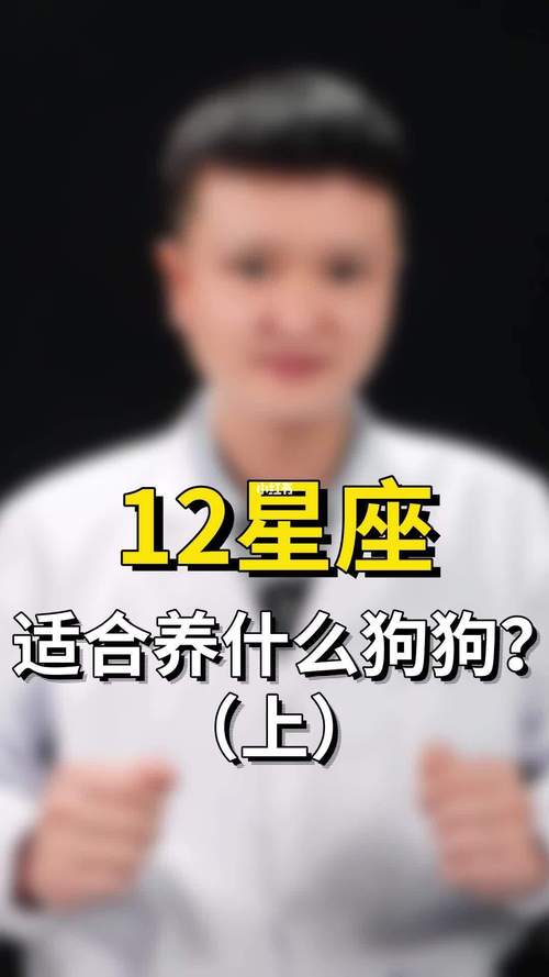 天秤男是什么品种的狗?