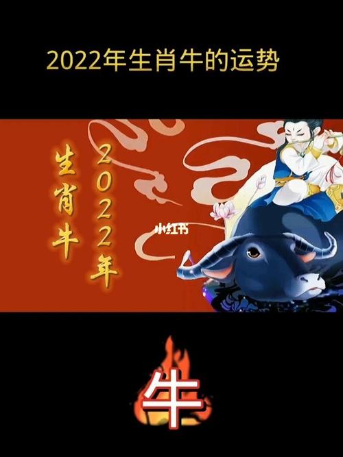 2022年生肖牛上半年的运势运程好不好