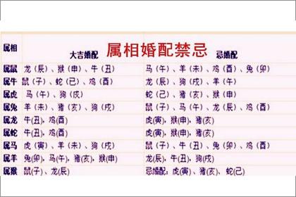 合婚中的生肖禁忌