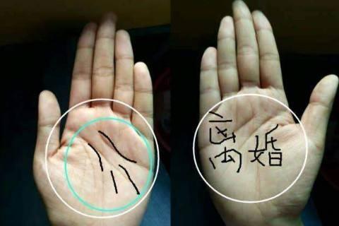 面相看你是男人捧在手心的好命女吗