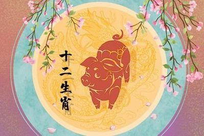 生肖猪2022年幸运颜色,属猪大忌颜色