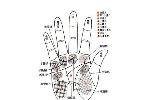 手心痣相代表什么?