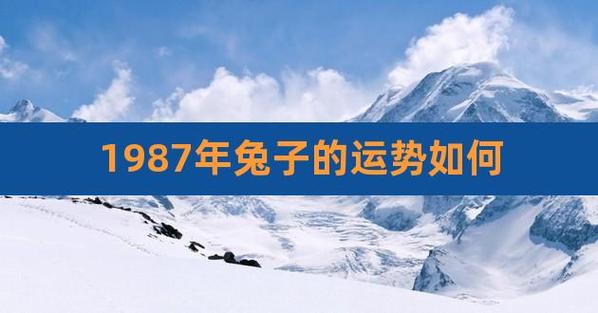 87年属兔流年运势