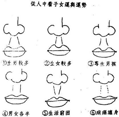 图解;人中面相与桃花运
