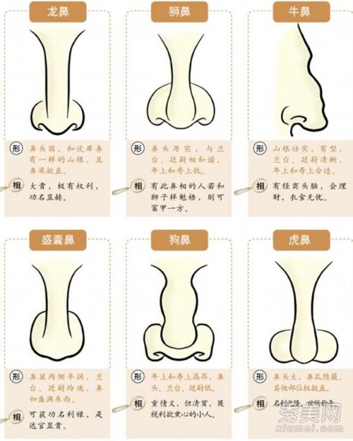 面相鼻子图解,男人各种鼻型图解