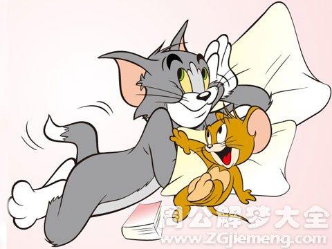 梦见猫和鼠
