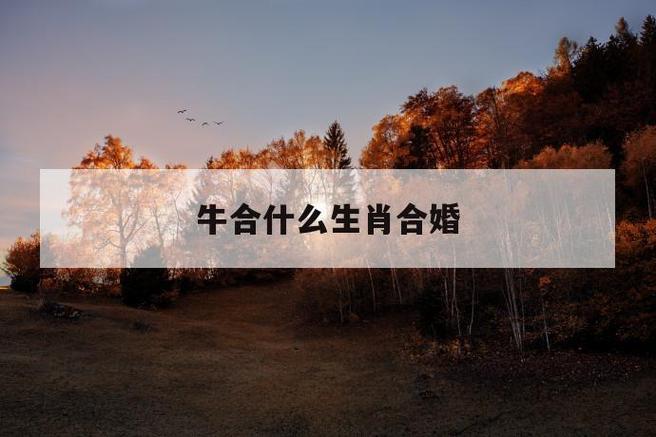 女属牛配什么生肖老公