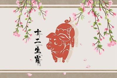39属什么的