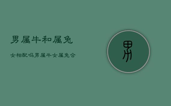 属兔生属牛的孩子好吗