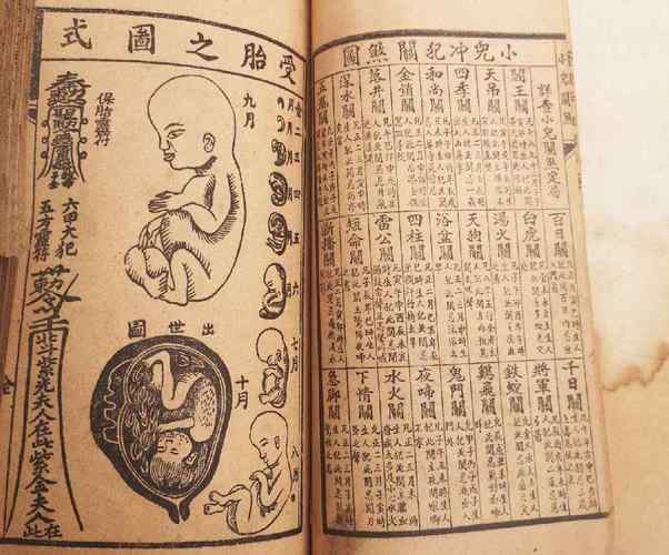 每日胎神是什么意思