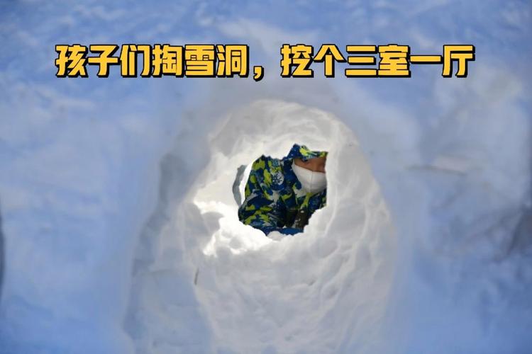 梦见掉进雪洞里是什么意思