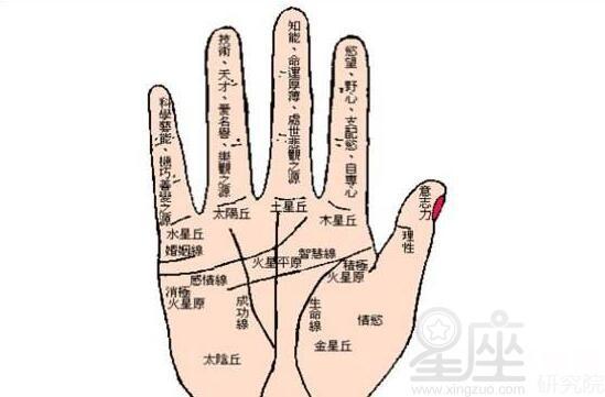 运用手相怎么看人一生的财运