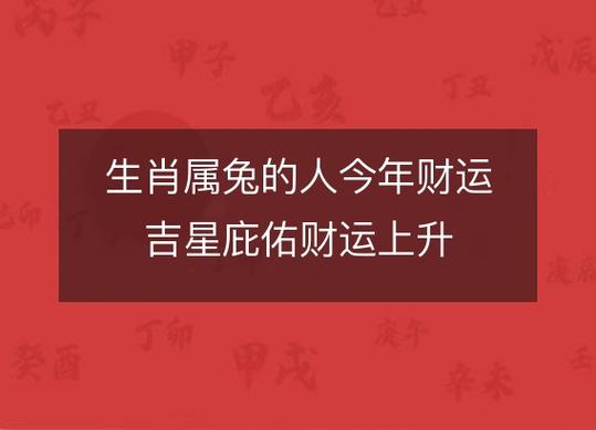 属兔人的财运怎么样