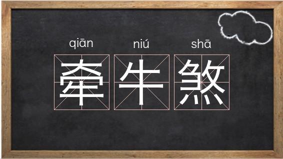 牵牛煞是什么?牵牛煞有什么影响?