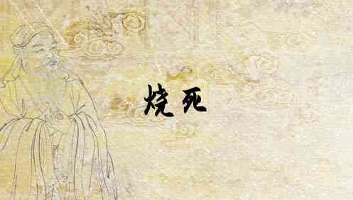 梦见被火烧死