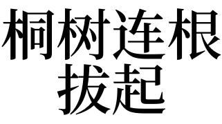 梦见树连根拔起