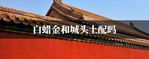 城头土和白蜡金配不配